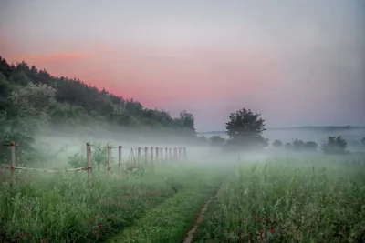 Скачать бесплатно новые фото Доброе туманное утро