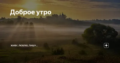 Утренний туман: красота и спокойствие на фотографиях природы