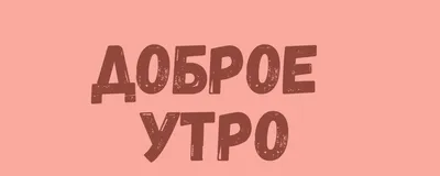 Фотографии, чтобы встретить утро с радостью.