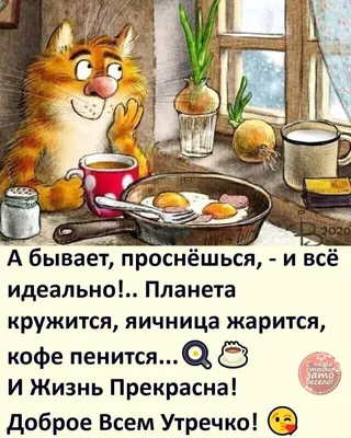 Новые смешные фото - выбери формат: JPG, PNG, WebP