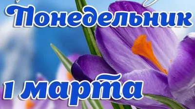 Изображения для вдохновения: Доброе утро 1 марта