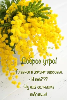 Утренние фотографии 1 марта: вдохновение и радость.