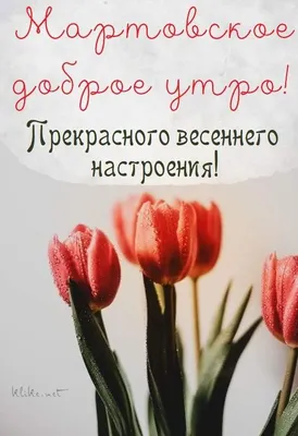 Утренние фотографии 1 марта: вдохновение на целый день.