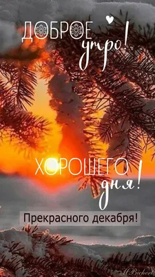 **Вдохновляющие фотографии на утро 31 декабря**