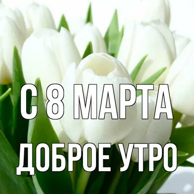 Новые фото на Доброе утро 8 марта