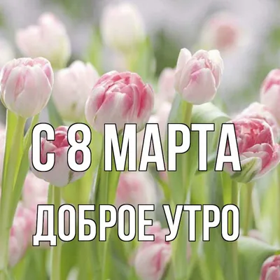 [71+] Доброе утро 8 марта картинки фото