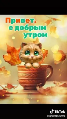 Новые фото животных для утреннего просмотра