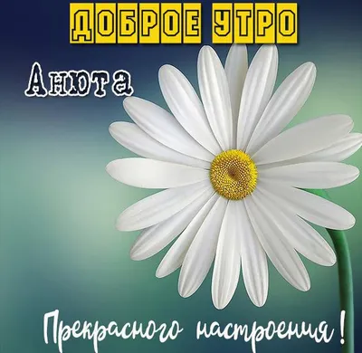 Доброе утро анюта картинки: поднимите настроение с утренними изображениями