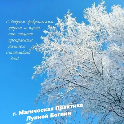 Утренний ритм: моменты перед началом дня