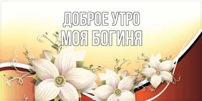 Утренний ритуал: приветствие нового дня