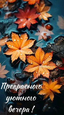 Утренний четверг: осенние оттенки на фотографиях