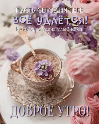 Утренние впечатления в каждом кадре