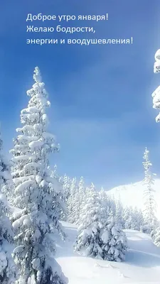 Утренние изображения снежного декабря