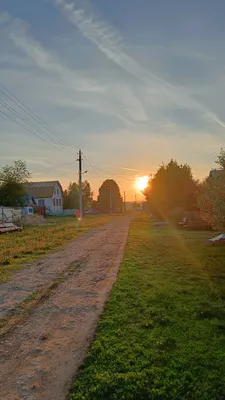 Фото с возможностью скачать бесплатно