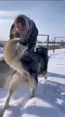 Утренние виды деревенской жизни на фото