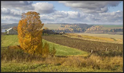 Утренние мгновения в деревне на фото