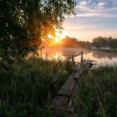 Фотографии, показывающие доброе утро в деревне