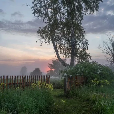 Фото Доброе утро деревня в HD качестве