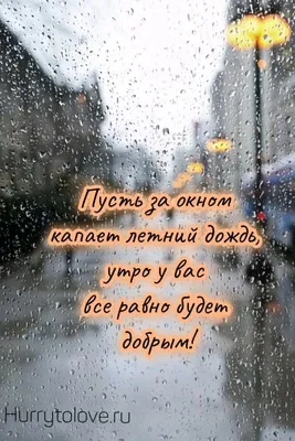 Утренний дождь: картины природы во всей красе