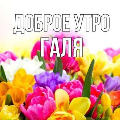 Утренние пейзажи в формате JPG, PNG, WebP