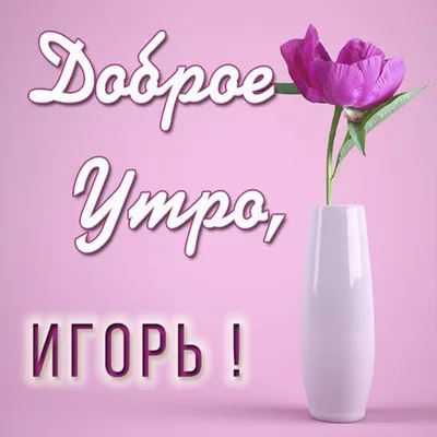 Утренние фото Доброе утро игорь для вашего дня