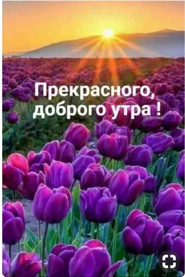 Картинки Доброе утро Инна: скачать бесплатно в хорошем качестве