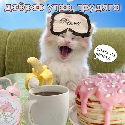 Утренний мем: выберите размер и формат для скачивания (JPG, PNG, WebP)