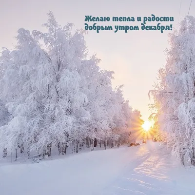 Фото утреннего волшебства зимних красок