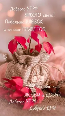 Новые утренние фотографии для вас