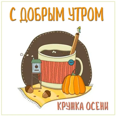 Осеннее утро: краски природы на фото