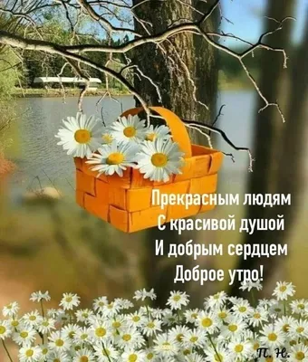 Утренние картинки на Pinterest: встречайте утро с радостью и вдохновением.