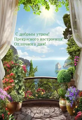 Утренние картинки на Pinterest: встречайте утро с улыбкой и радостью.