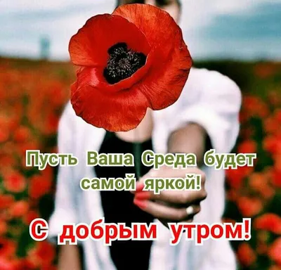 Новые фотографии с надписью Доброе утро в форматах JPG, PNG, WebP.