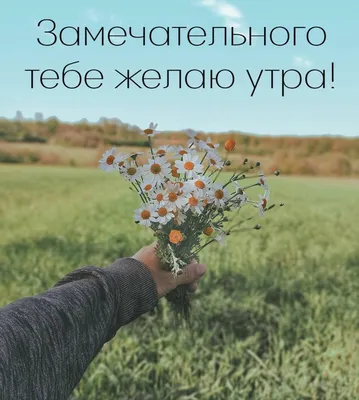 Картинки, чтобы встретить утро весело