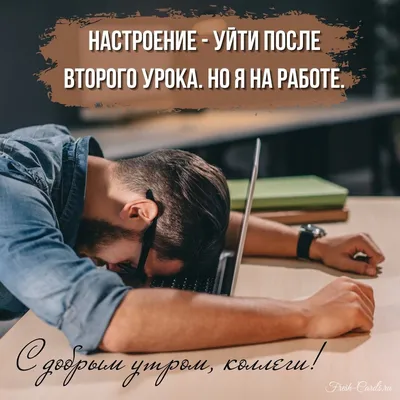 Доброе утро коллеги! Смешные картинки для поднятия настроения