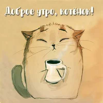 Утренние картинки котят в формате png