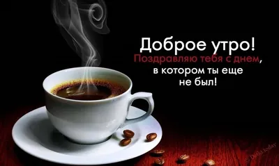 Утренние моменты: красивые мгновения