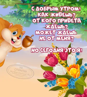 Утренние фото (Доброе утро кума картинки) в формате PNG