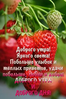 Скачай бесплатно изображения Доброе утро, малышка в хорошем качестве