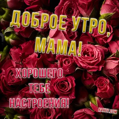 Утренние картинки для мамы: вдохновение на новый день.