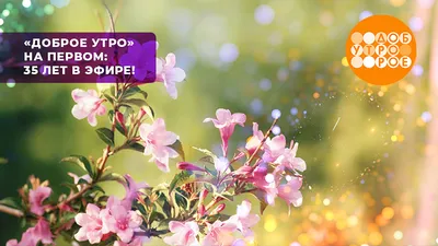 Доброе утро, Мария! Картинки, чтобы поднять настроение