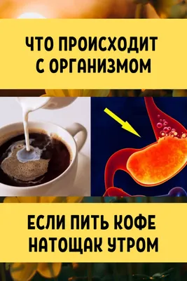 Утренние фото, чтобы пробудить воображение.