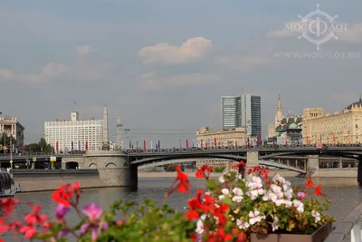 Утренние моменты в Москве: фотографии