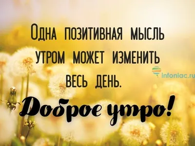 Картинки для поднятия настроения на утро