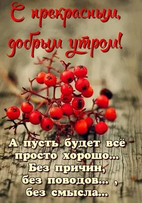 Фотографии для вдохновения на доброе утро