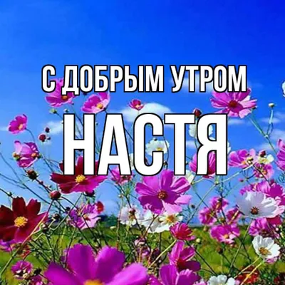 Новые фото Доброе утро настя для скачивания