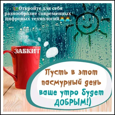 Доброе утро! У нас есть фото, чтобы поднять вам настроение даже в дождливую погоду.