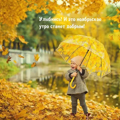 Фотографии утреннего настроения: дождливое утро.