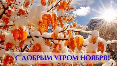 Фотографии с утренними видами ноября