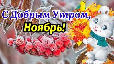 Утренние картинки для вдохновения